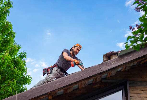 Best Chimney Flashing Repair  in Raytown, MO